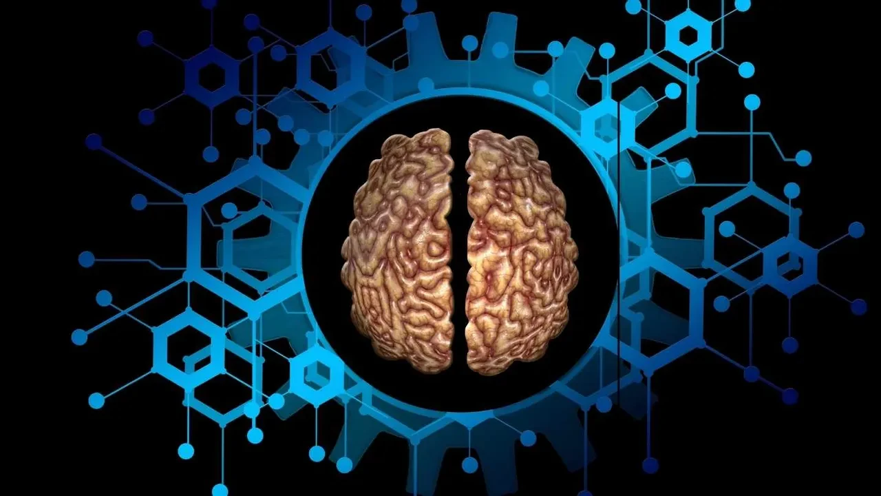 Her gün yaptığınız bu davranışlar beyninizin küçülmesine neden oluyor!