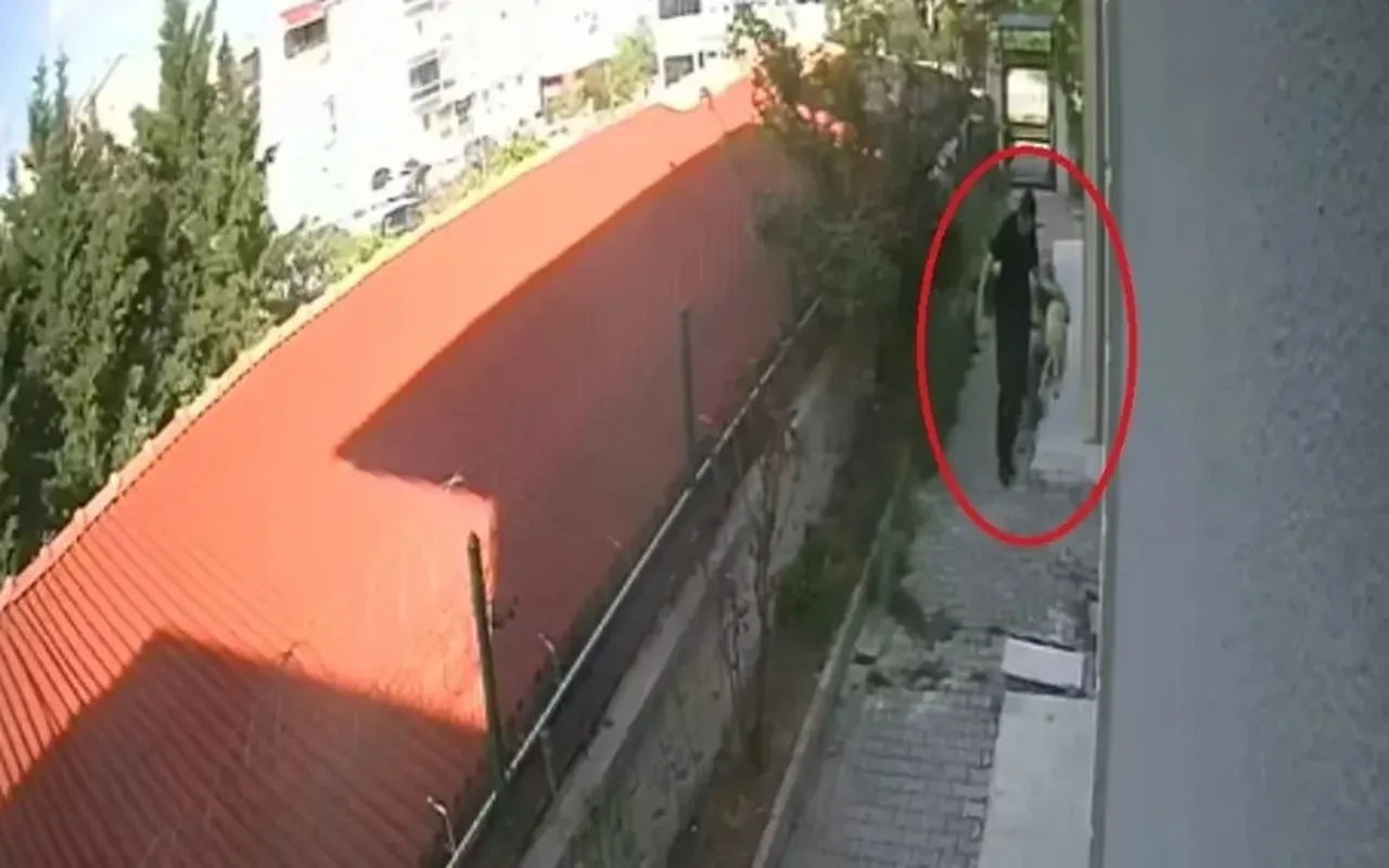 Kan donduran vahşet! Sahiplendiği hayvanları işkenceyle katletti:  Eve giren köpekler poşetle çıktı