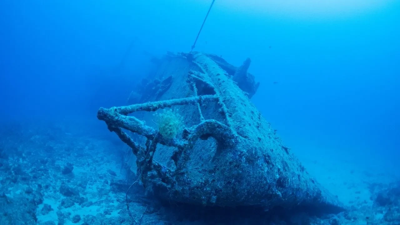 Orta Çağ'dan kalma tekne enkazı tarihin perdesini araladı! Uzmanlar şaşırdı