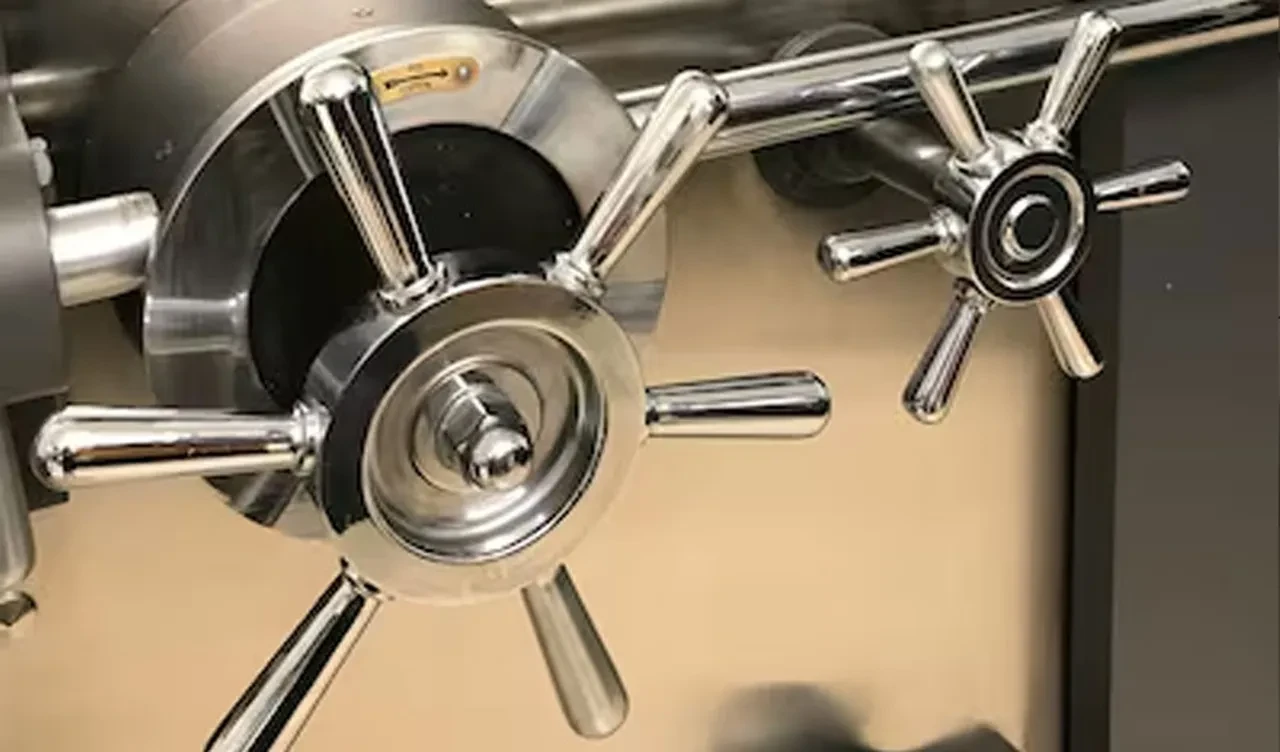 Dünyanın en güvenli kasası olarak görülüyor: Yıllık kirası dudak uçuklattı