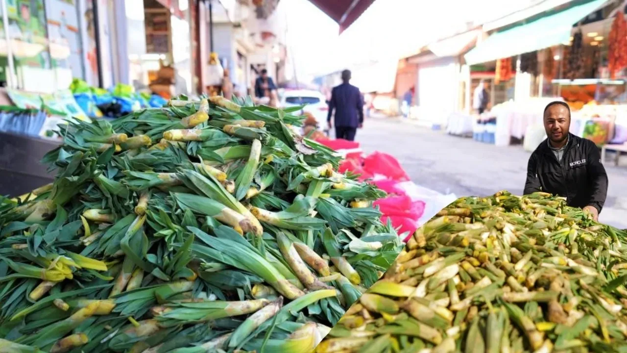 Yemekleri lezzetlendiren baharın habercisi Muş’ta tezgahları süsledi: C vitamini deposunun fiyatı belli oldu!