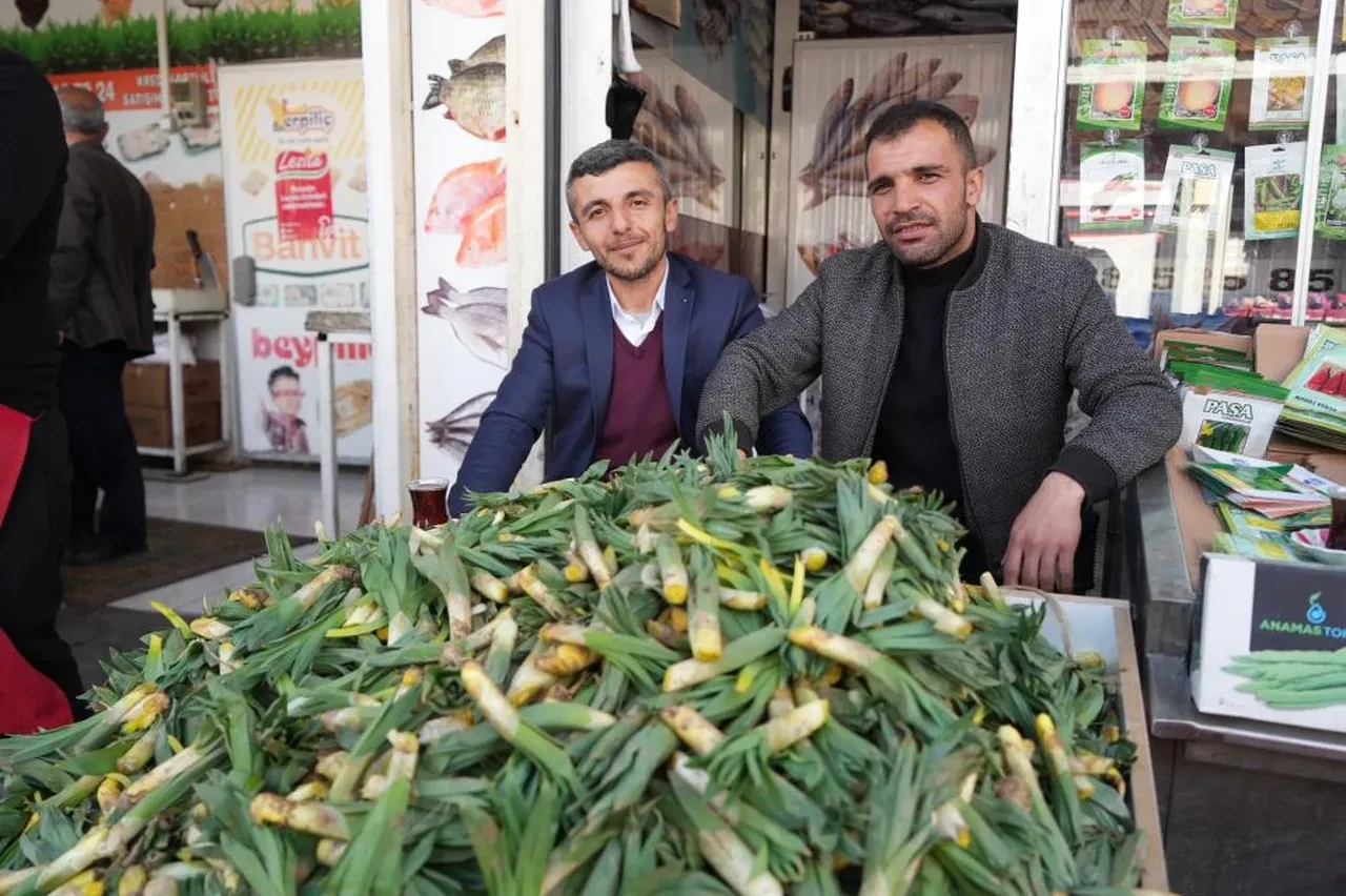 Yemekleri lezzetlendiren baharın habercisi Muş’ta tezgahları süsledi: C vitamini deposunun fiyatı belli oldu!