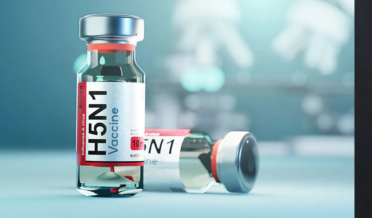 Meksika'da bir ilk! İnsanda "H5N1" türü kuş gribine rastlandı