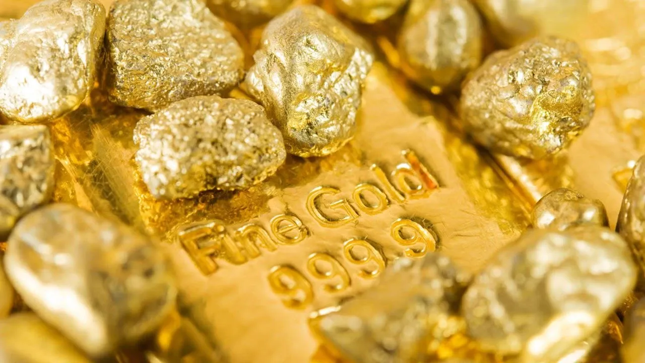 Eviniz altın ve gümüş deposu! Atmayın para kazanın: Her gün 1 gram altın üretebilirsiniz