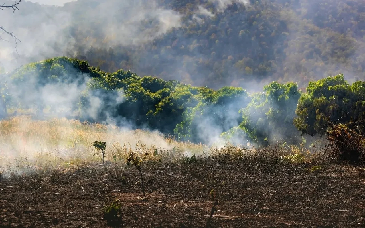 İklim kanunu nedir neleri kapsıyor? Türkiye'nin ilk İklim Kanunu