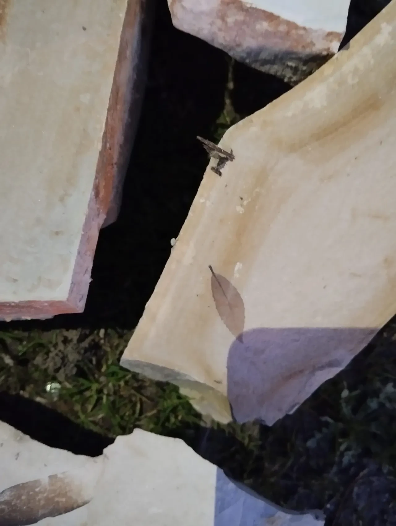 Kuşadası'nda heyecan verici keşif! Yaklaşık 15 milyon yıl öncesine ait: Ege Bölgesi için kritik