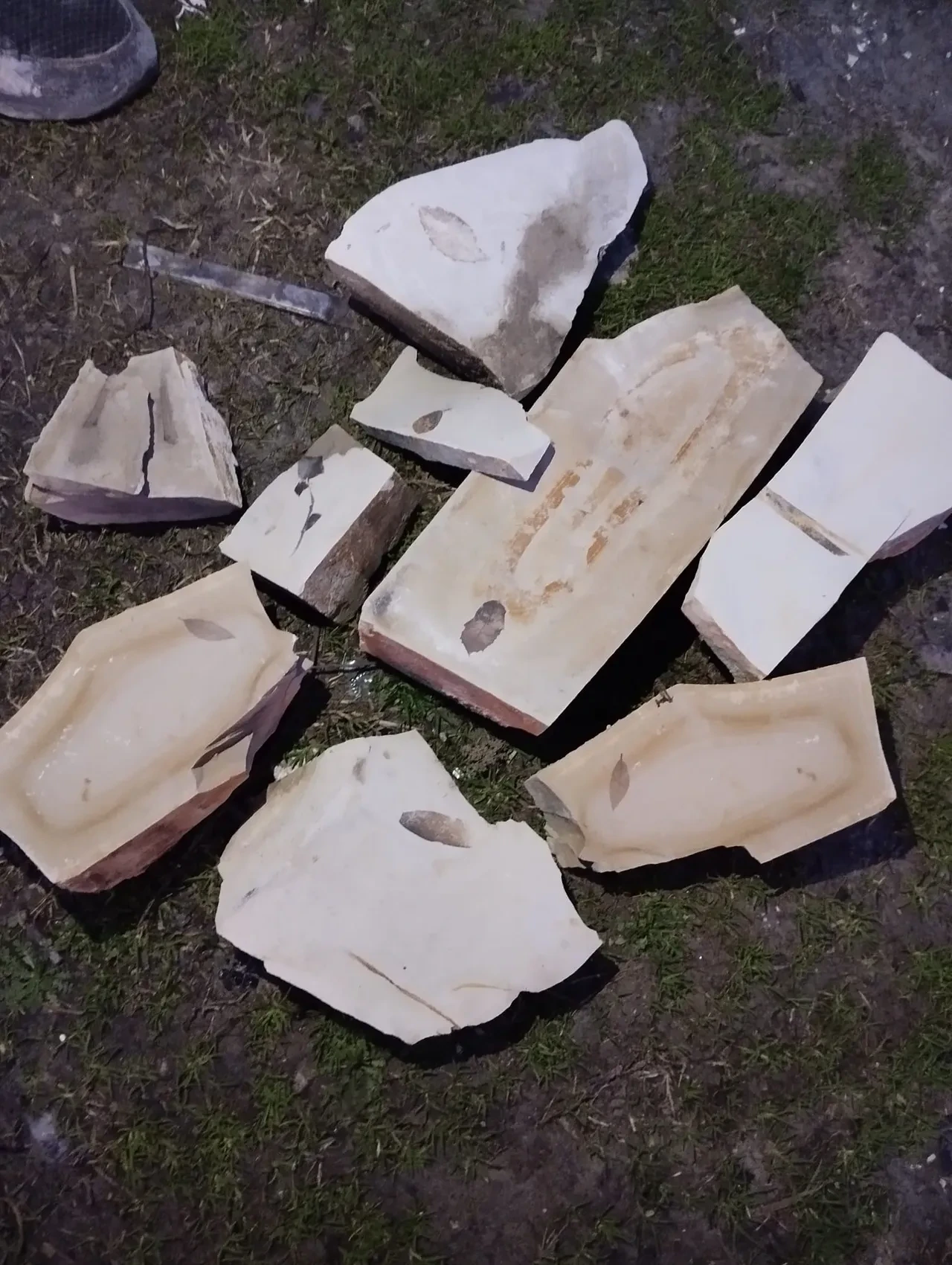 Kuşadası'nda heyecan verici keşif! Yaklaşık 15 milyon yıl öncesine ait: Ege Bölgesi için kritik