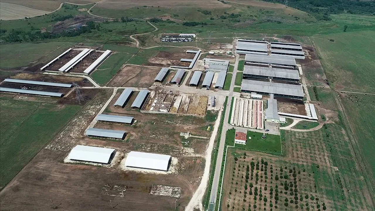 TİGEM 306 geçici işçi alımı için düğmeye bastı! Başvurular İŞKUR üzerinden başlıyor