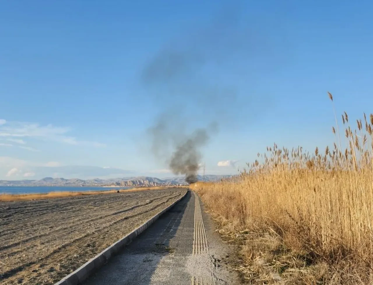 Van’da sazlık alanda korkutan yangın!