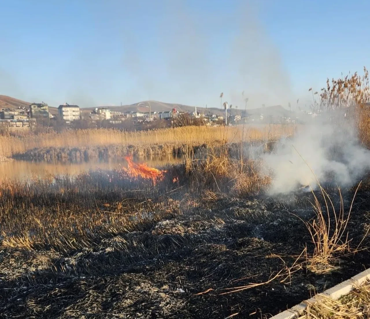 Van’da sazlık alanda korkutan yangın!