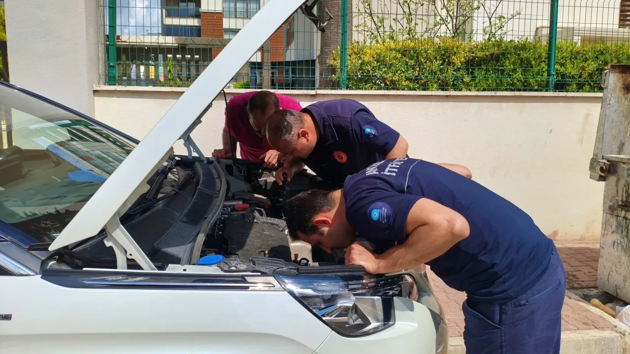 Aracın motoruna giren yavru kedileri kurtarmak için mahalleli seferber oldu