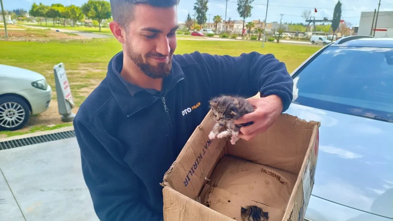 Aracın motoruna giren yavru kedileri kurtarmak için mahalleli seferber oldu