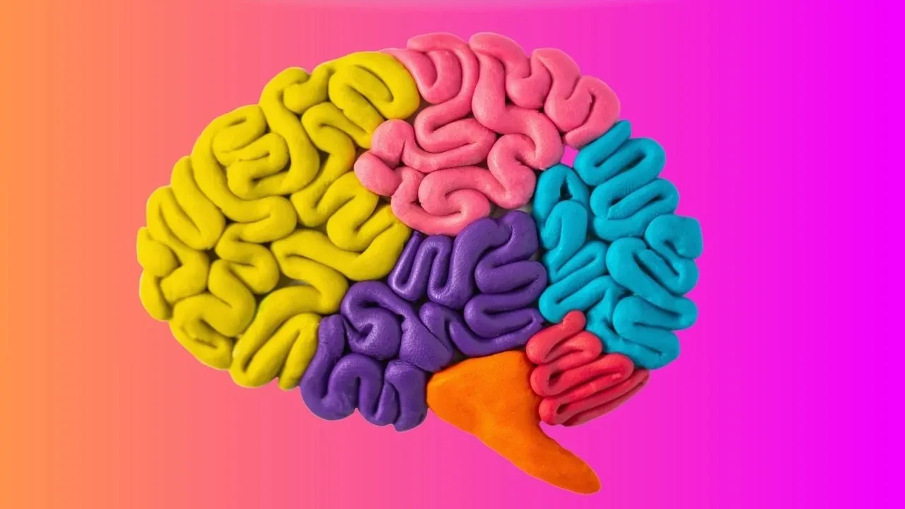 Bu alışkanlıklara sahip olanlara uyarı! Beyni kısa sürede yaşlandırıyor