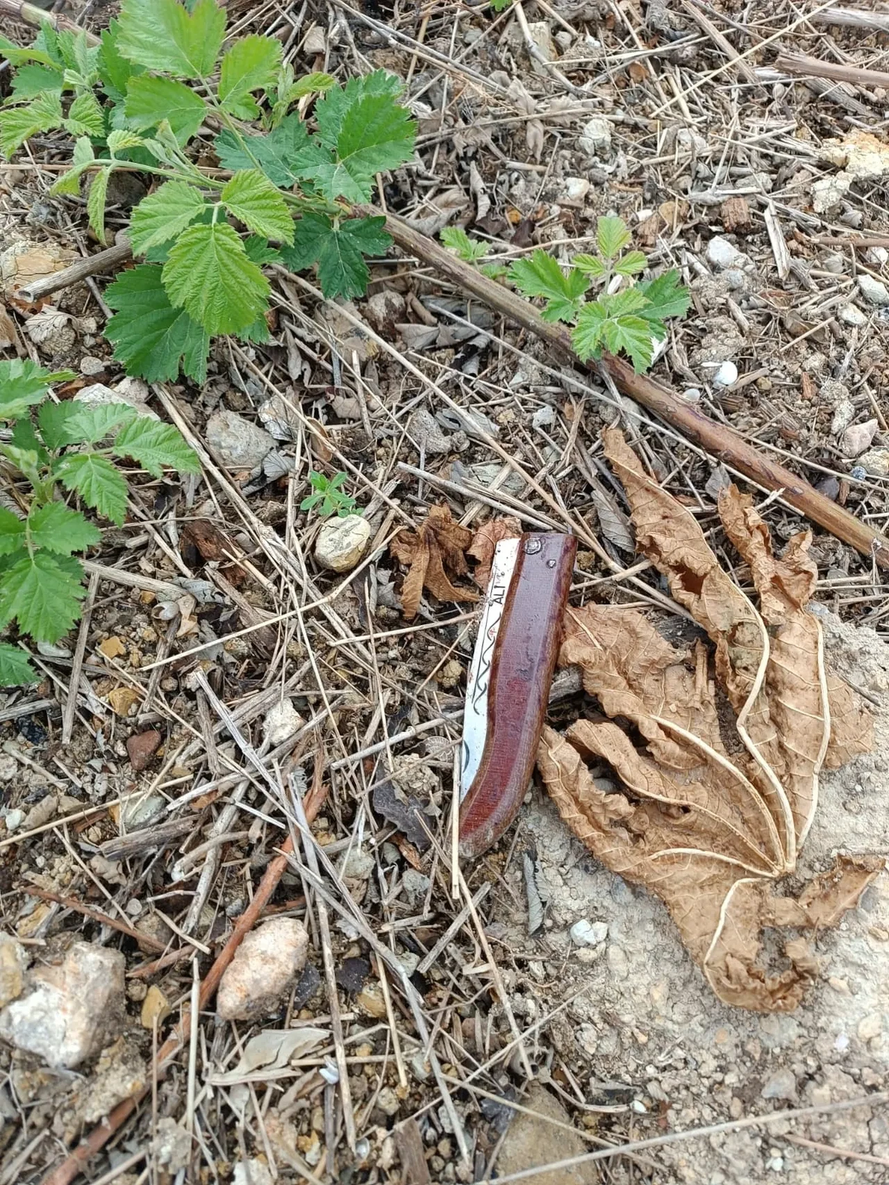 Adana'da vahşet! Öğretmen abisini katletti! Savunması şaşkına çevirdi