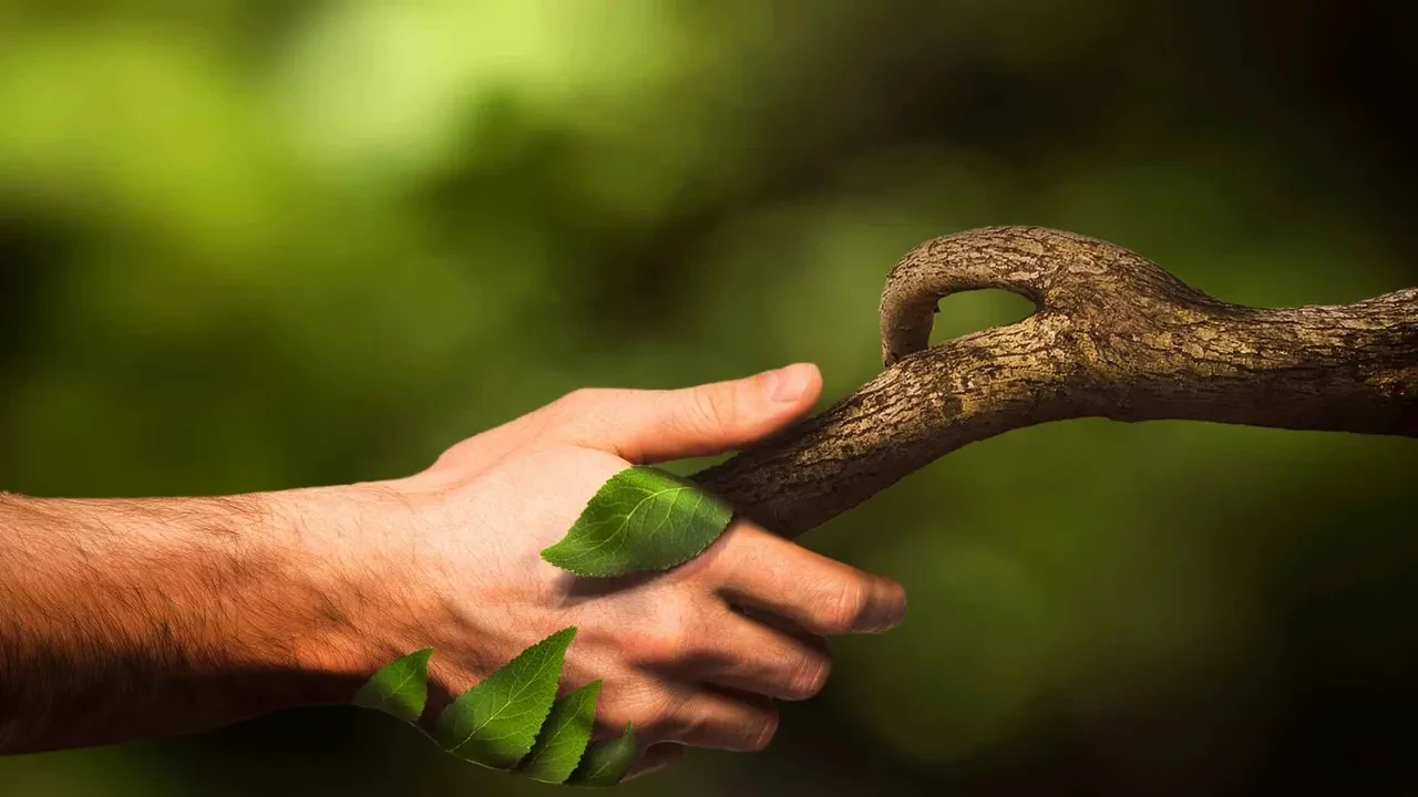Dünyanın en yaşlı insanı 125 yaşında! Kahvaltısında her gün aynı meyveyi yiyor