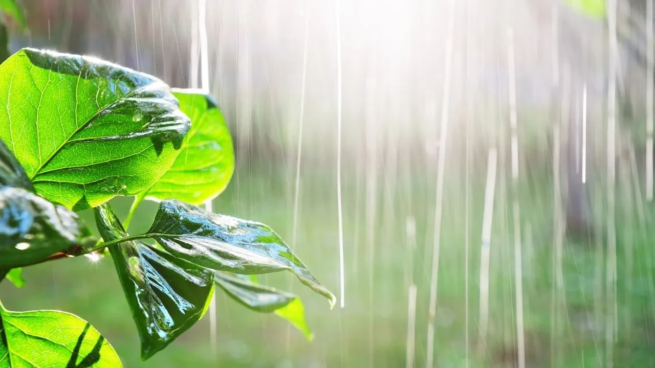 Güneş bir süre veda ediyor! O gün 81 il etkilenecek