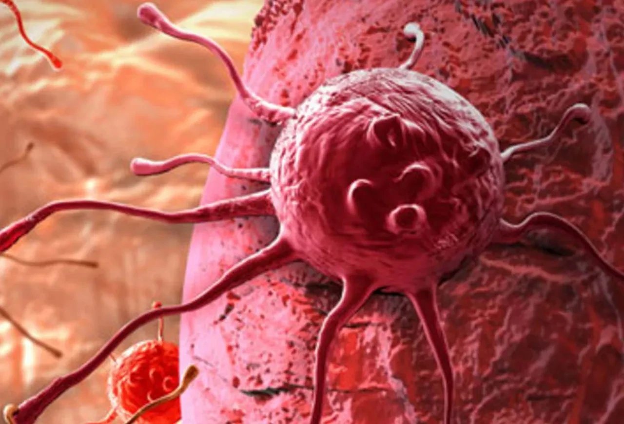 Kan hastalıkları ve hematoloji hakkında bilmeniz gereken her şey!