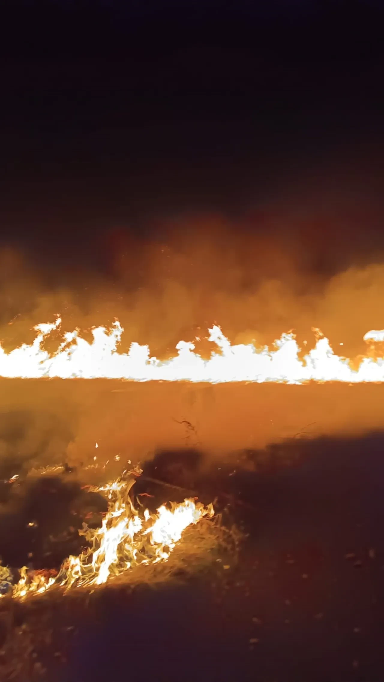 Van'da 2 günde 3 sazlık alan yandı! Ekipler alarma geçti