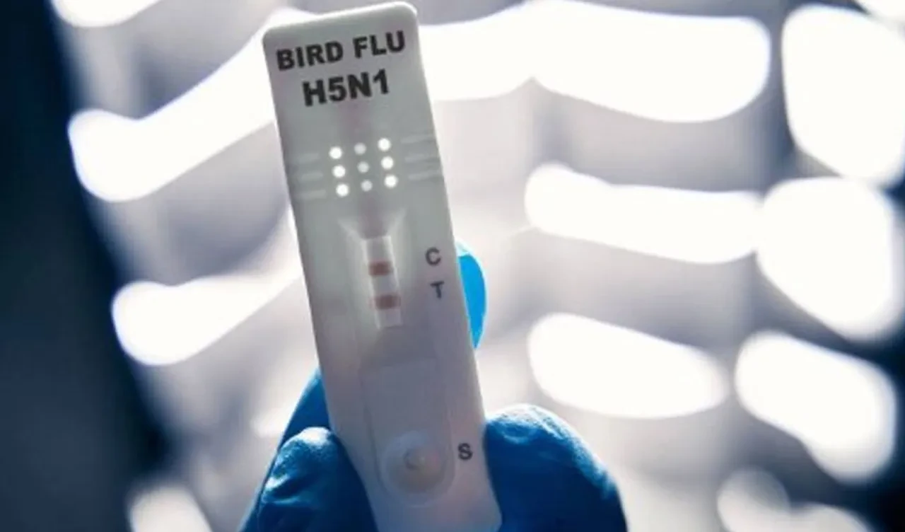 Ülkede ilk kez bir insanda rastlandı ve yaşam mücadelesini kaybetti! Kuş gribi endişesi büyüyor
