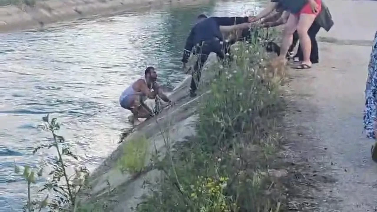 Adana’da kanala uçan sürücü yardımı reddedip bağırdı!