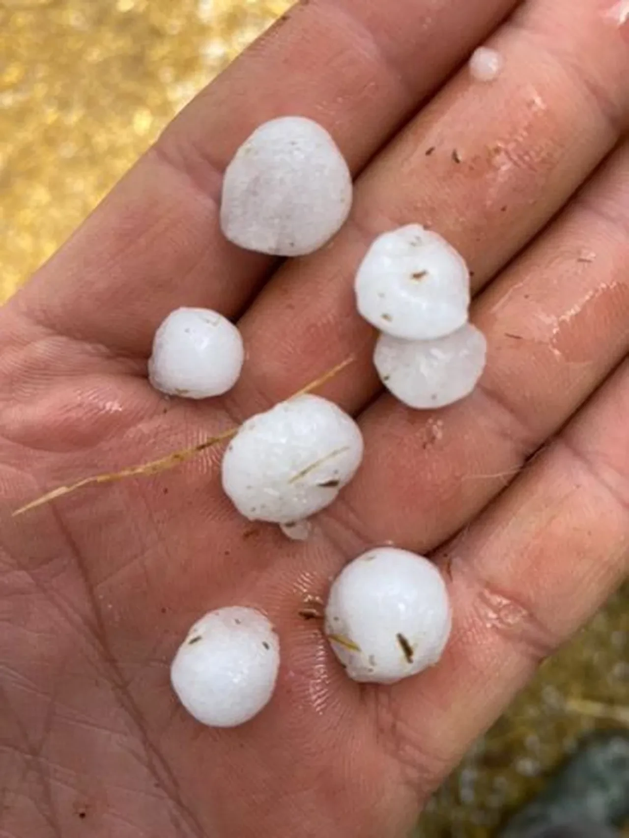 Ankara'yı dolu vurdu! Evleri su bastı, araçlar mahsur kaldı