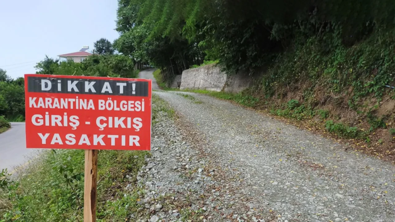Balıkesir'de şap alarmı: 15 mahalle karantinaya alındı