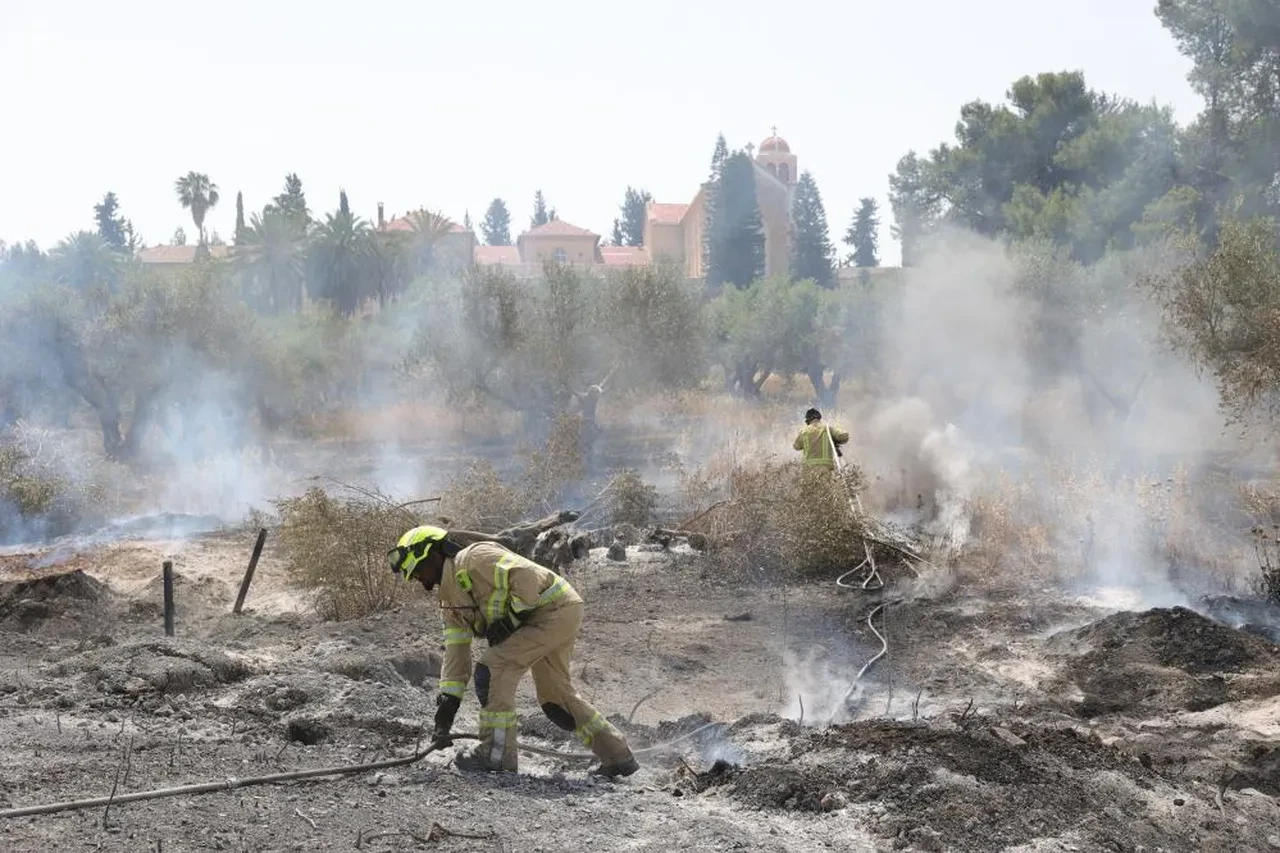 İsrail'de son 10 yılın en büyük yangını ikinci gününde! 5 bin dönümlük alan küle döndü