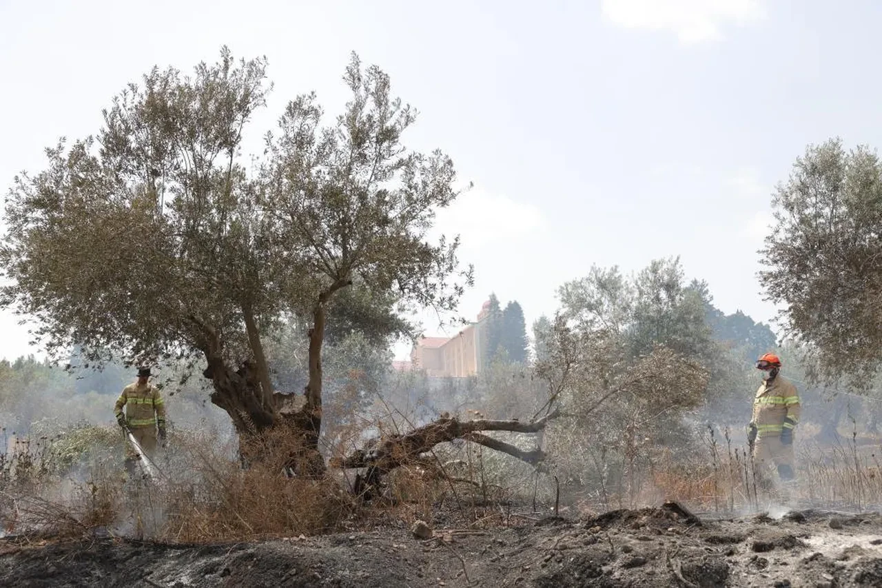 İsrail'de son 10 yılın en büyük yangını ikinci gününde! 5 bin dönümlük alan küle döndü