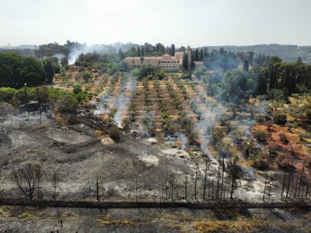 İsrail'de son 10 yılın en büyük yangını ikinci gününde! 5 bin dönümlük alan küle döndü