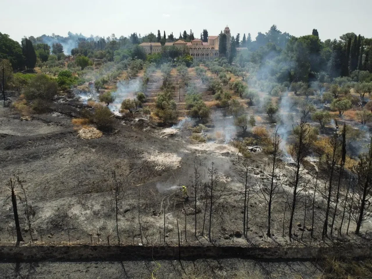 İsrail'de son 10 yılın en büyük yangını ikinci gününde! 5 bin dönümlük alan küle döndü