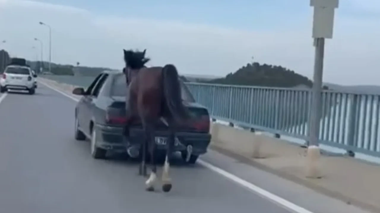 Adana'da isyan ettiren eziyet! Atını aracına bağlayıp sürükledi 