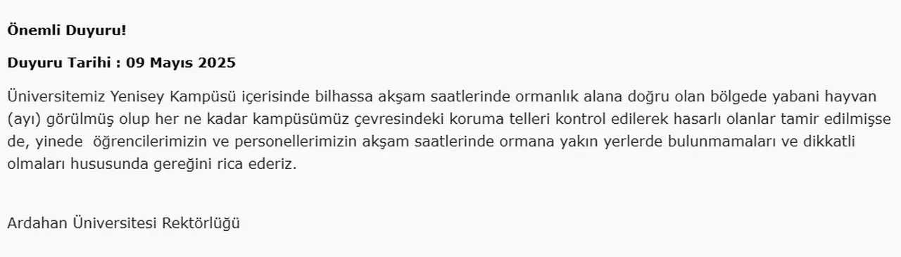 Ardahan'da üniversite uyardı: Kampüste ayı görüldü!