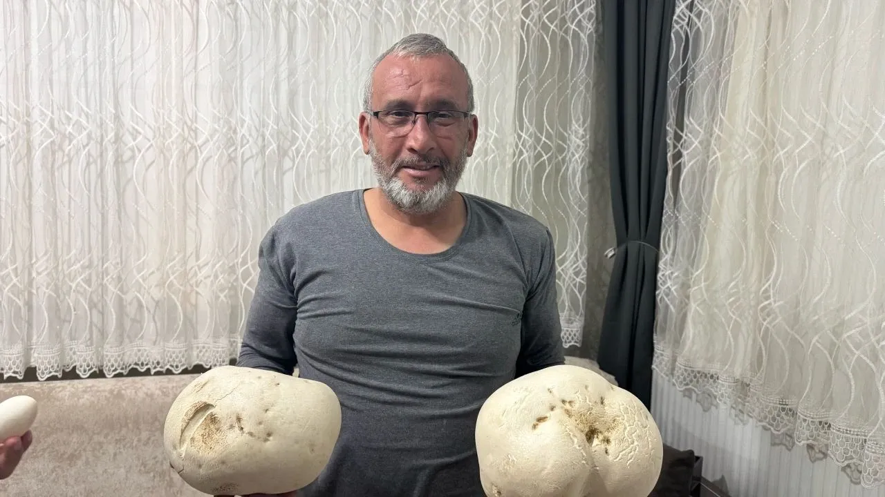 Ispartalı doğasever yürüyüş sırasında "dev mantarlar" buldu