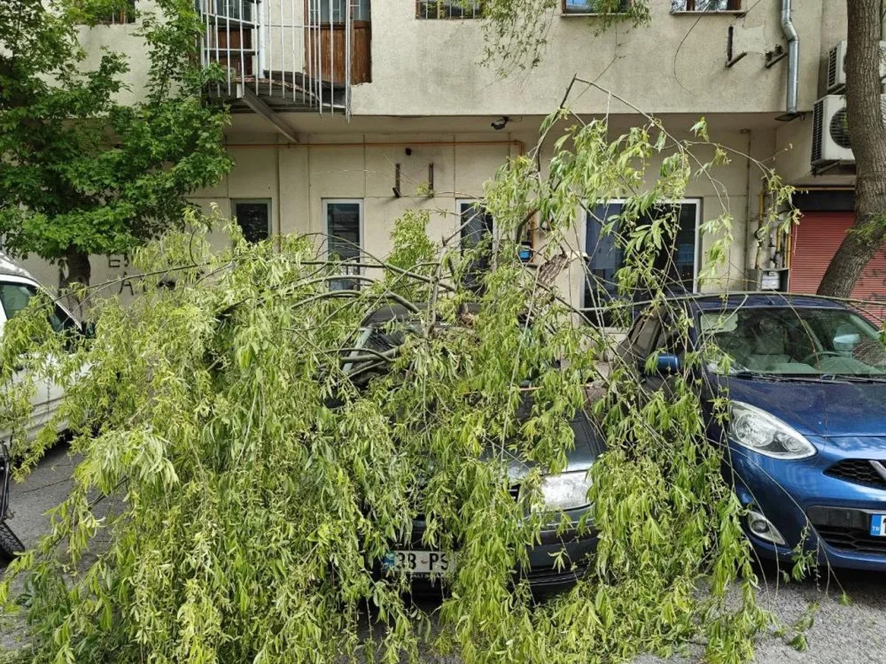 Rüzgardan dolayı kırılan ağaçlar, park halindeki araçlara zarar verdi