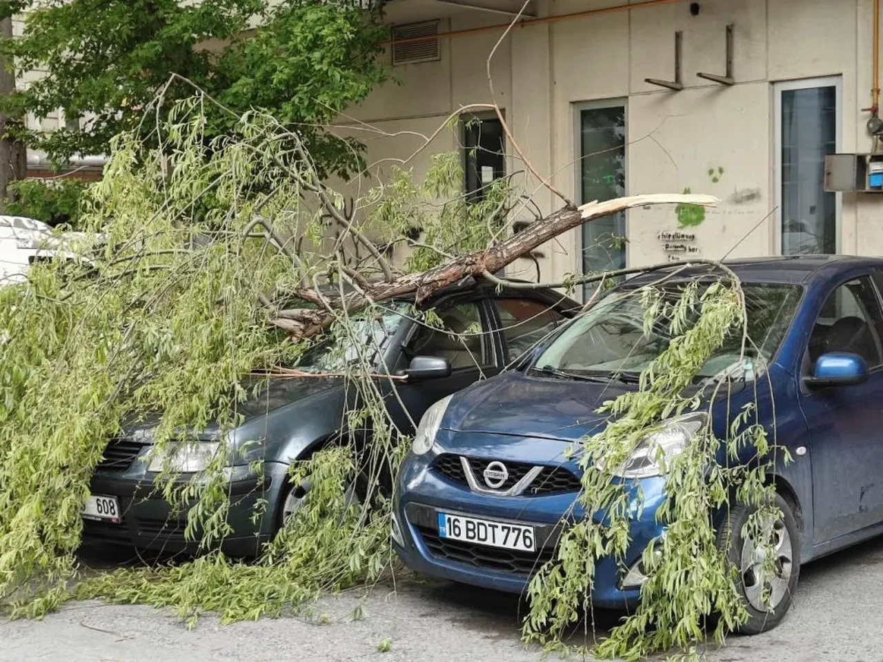 Rüzgardan dolayı kırılan ağaçlar, park halindeki araçlara zarar verdi