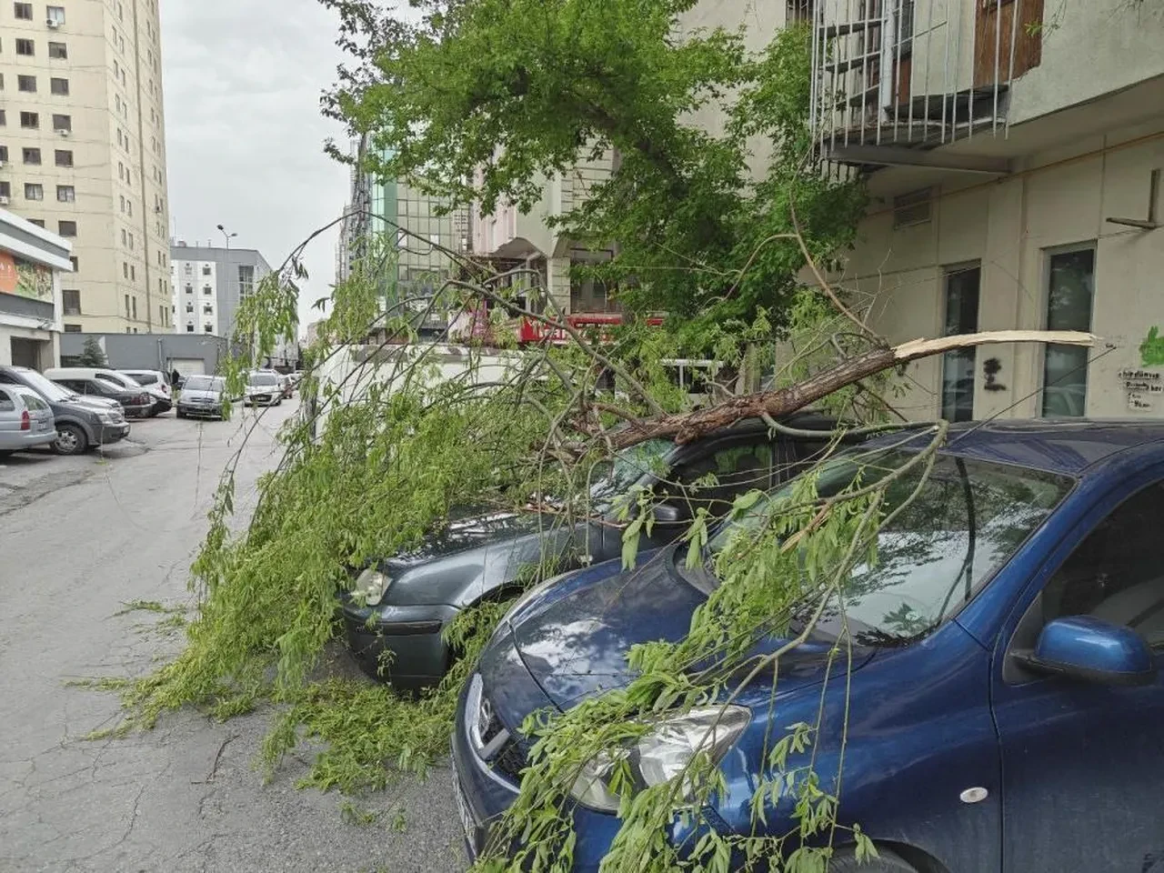 Rüzgardan dolayı kırılan ağaçlar, park halindeki araçlara zarar verdi