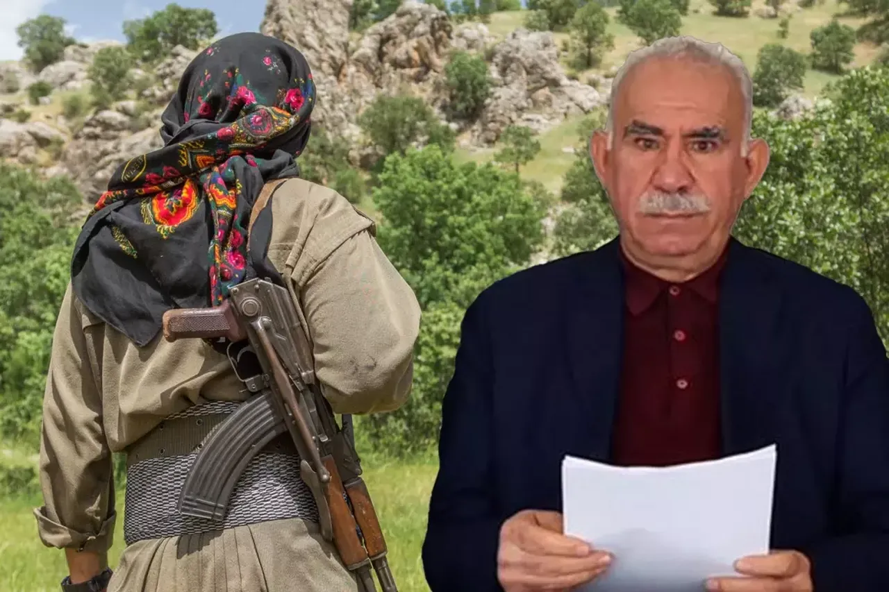 Son dakika | Cumhurbaşkanı Erdoğan'dan terörsüz Türkiye mesajı! 'Her an müjdeleri alabilirsiniz'