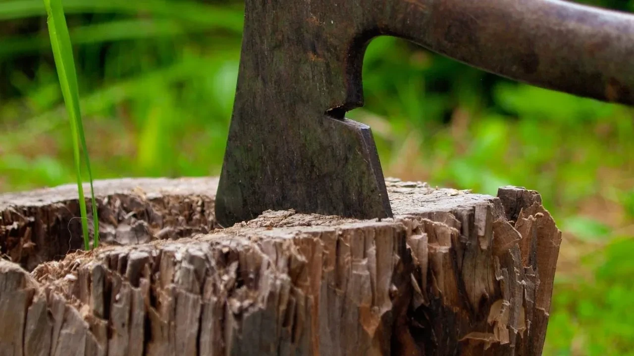 Tarlada yürürken 4 bin yıllık eşya buldu: “Orda bir şey var” dedi