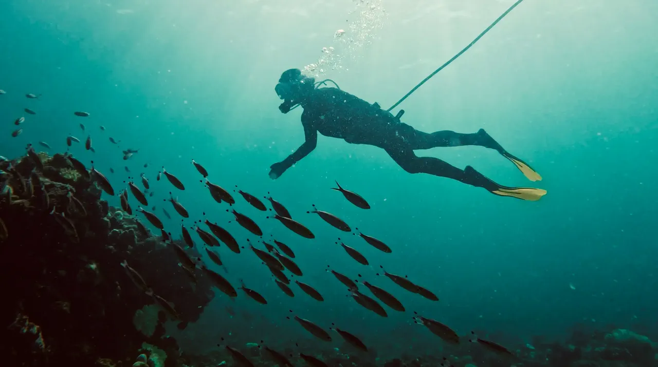 Burada 1 saatten fazla kalmanız hiç güvenli değil! Turizm departmanı burayı adeta saklıyor