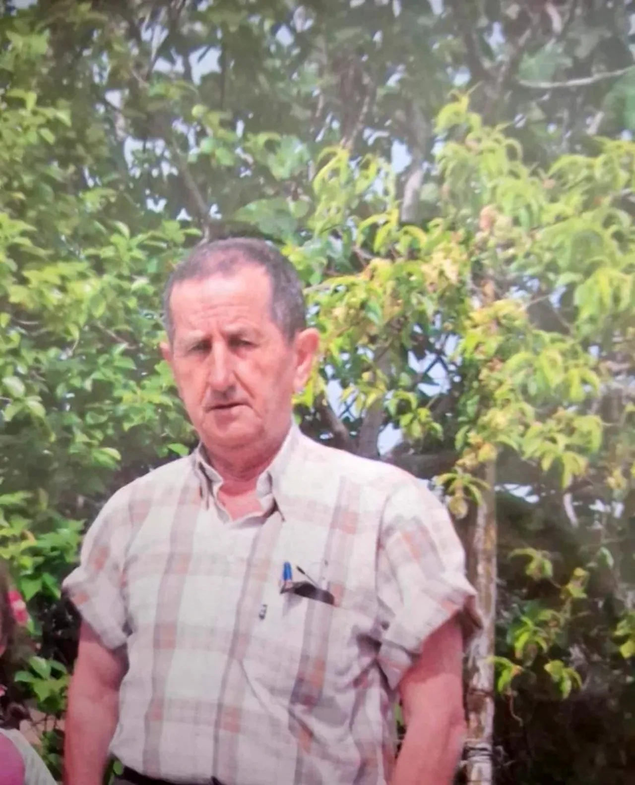 Emekli öğretmenin kahreden ölümü! Ağaca asılı halde bulundu