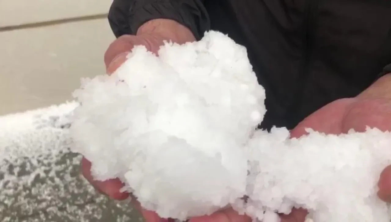 Fotoğraf bugün çekildi: Hayat bir anda felç oldu