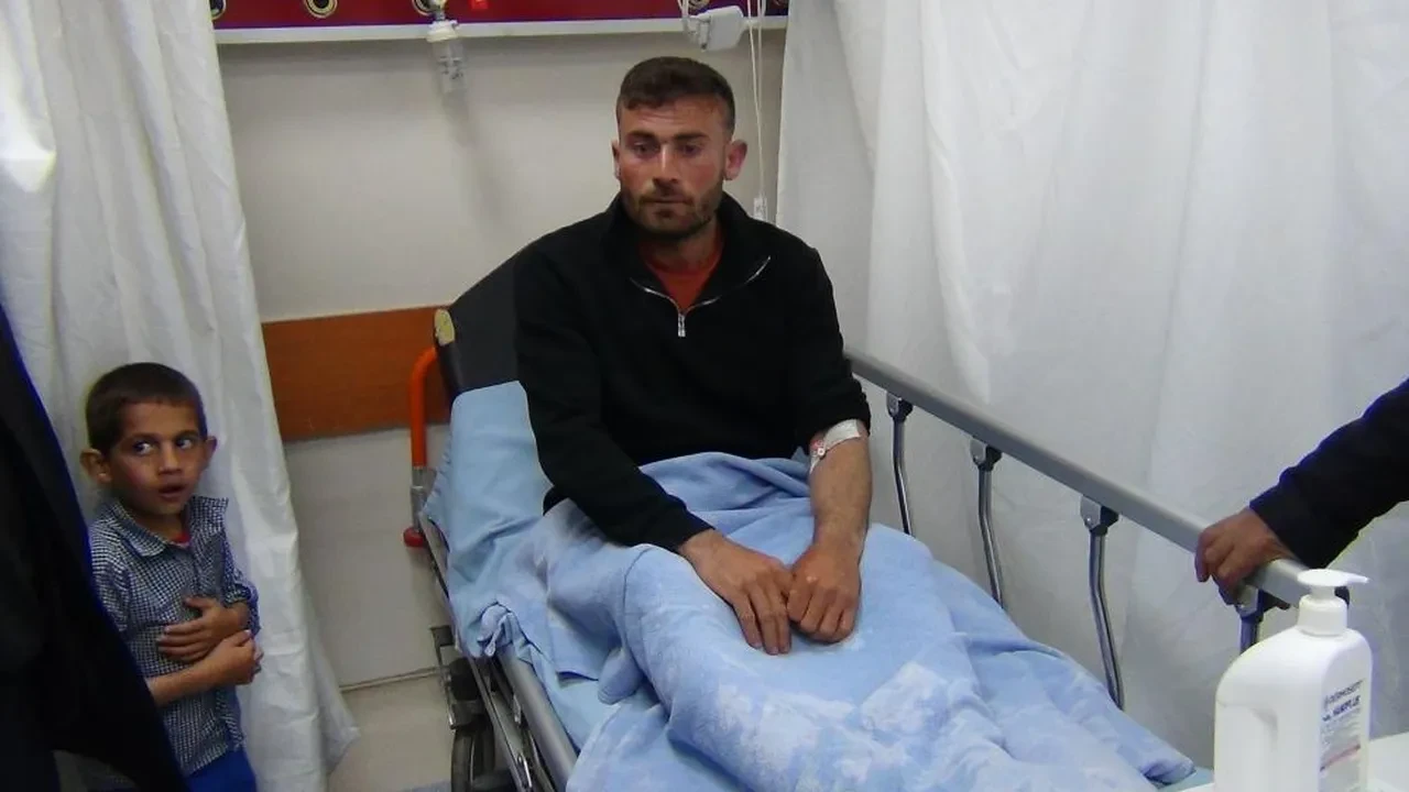 Kars’ta sürünün üzerine yıldırım düştü: 2 çoban yaralandı, 10 hayvan öldü!