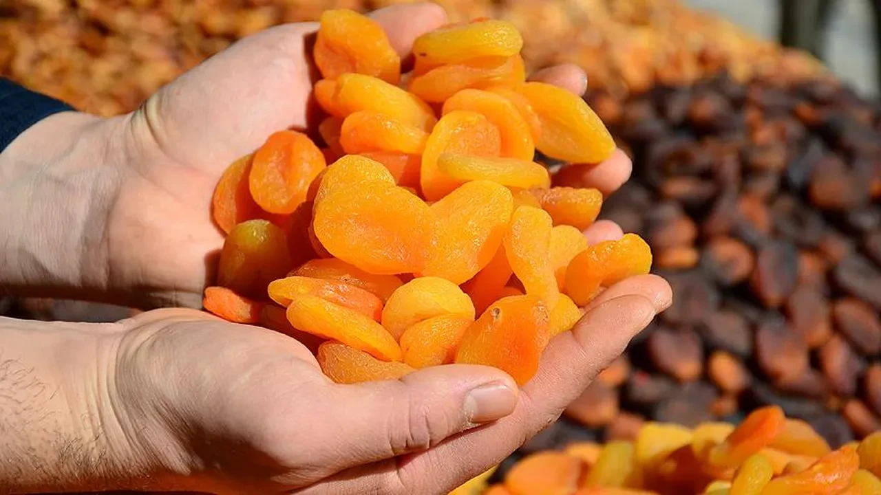 Kuru meyvede ihracat 1,5 milyar dolara ulaştı