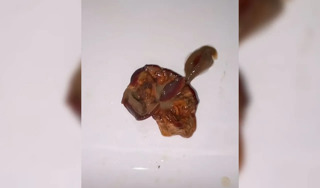 Meyve suyundan çıktı, herkesin midesi bulandı! Ne olduğu ise muamma