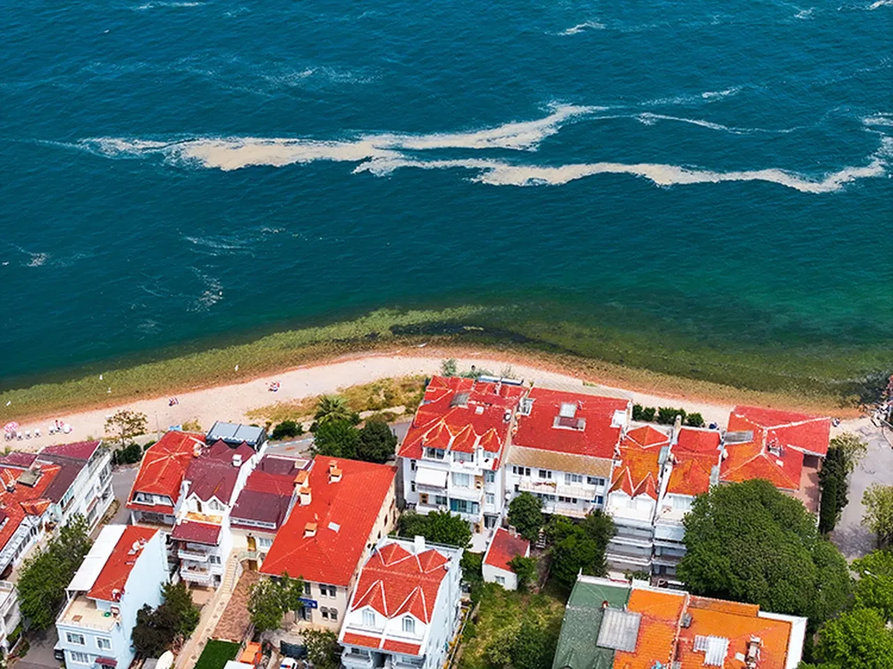 Adalar açıklarında müsilaj ortaya çıktı! Tutulan balıklar yenir mi?