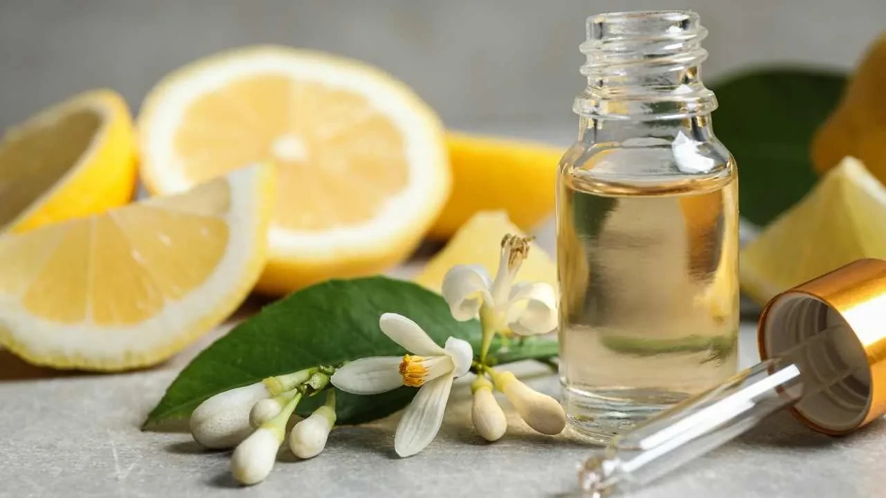 Bileklerine süren daha zeki oluyor! Sadece birkaç damlası zihni bıçak gibi keskin yapıyor