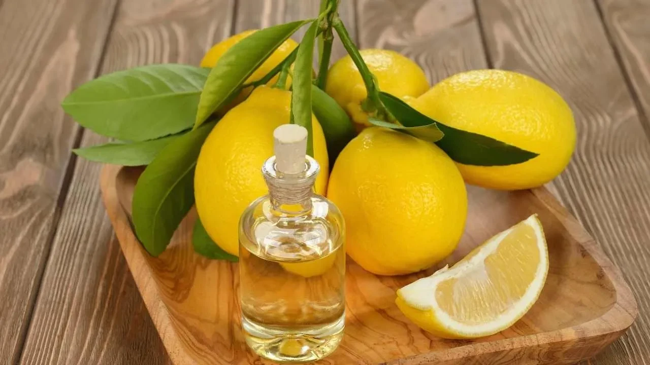 Bileklerine süren daha zeki oluyor! Sadece birkaç damlası zihni bıçak gibi keskin yapıyor