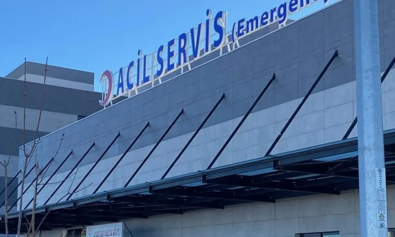 Havyan otlatma kavgasında kan aktı!