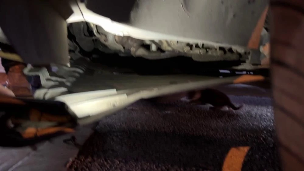Otomobilin motoruna giren kedi, yaklaşık 2 saat sonra çıkarıldı