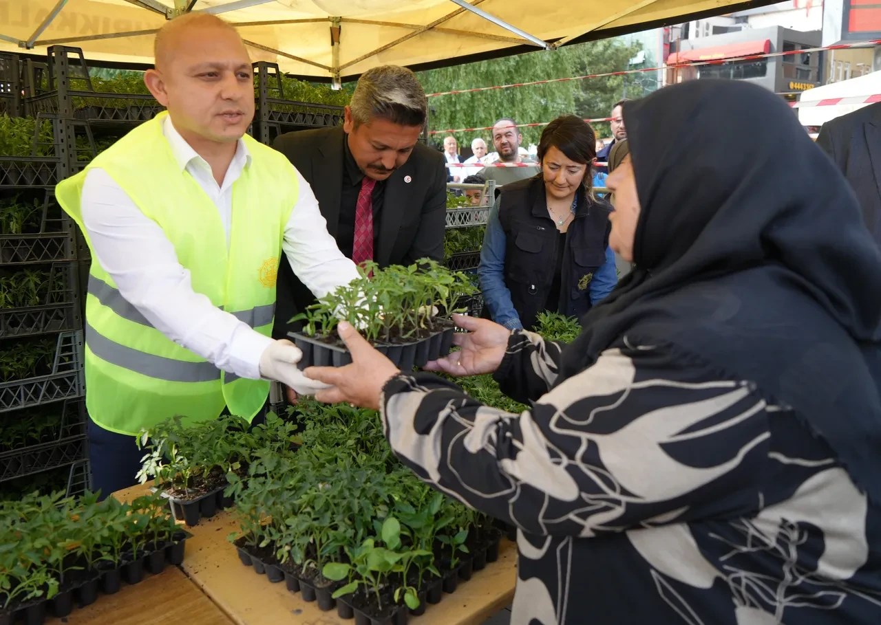Meydan tıklım tıklım! Belediye bedava dağıttı, vatandaş kuyruk oluşturdu